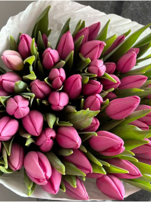 тюльпан Барселона