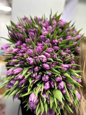 Тюльпан Дабл прайс