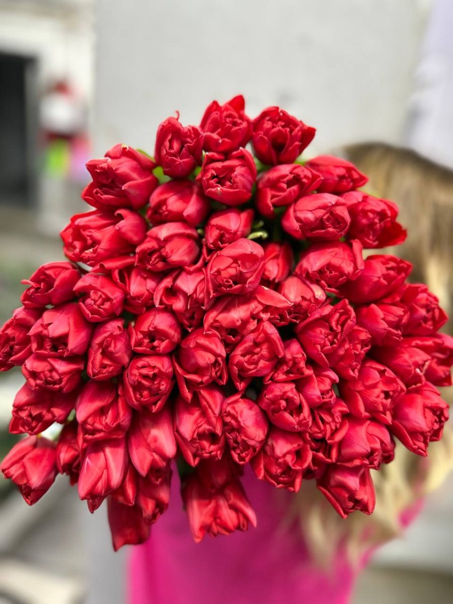 Тюльпан пионовидный Ларго