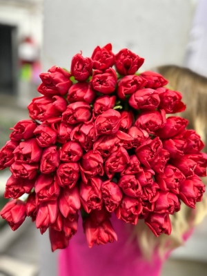 Тюльпан пионовидный Ларго