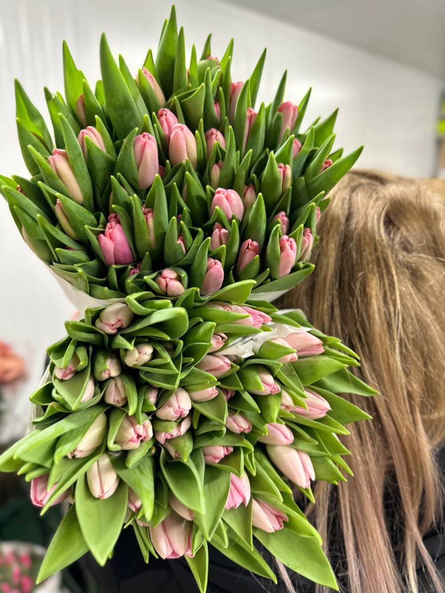 Тюльпан Розовый Династи