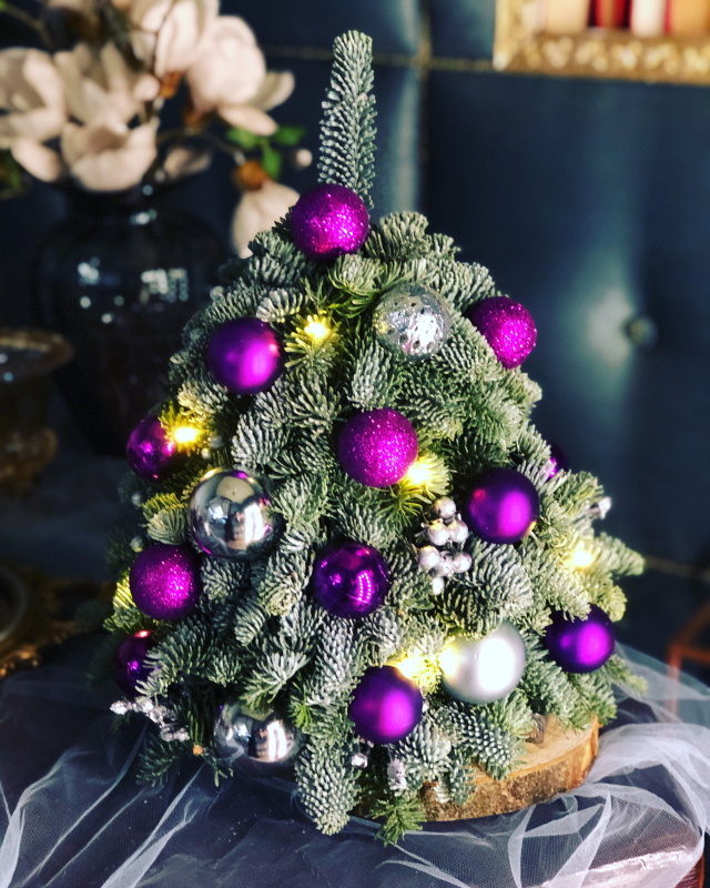 Елочка из нобилиса, высота 50 см.